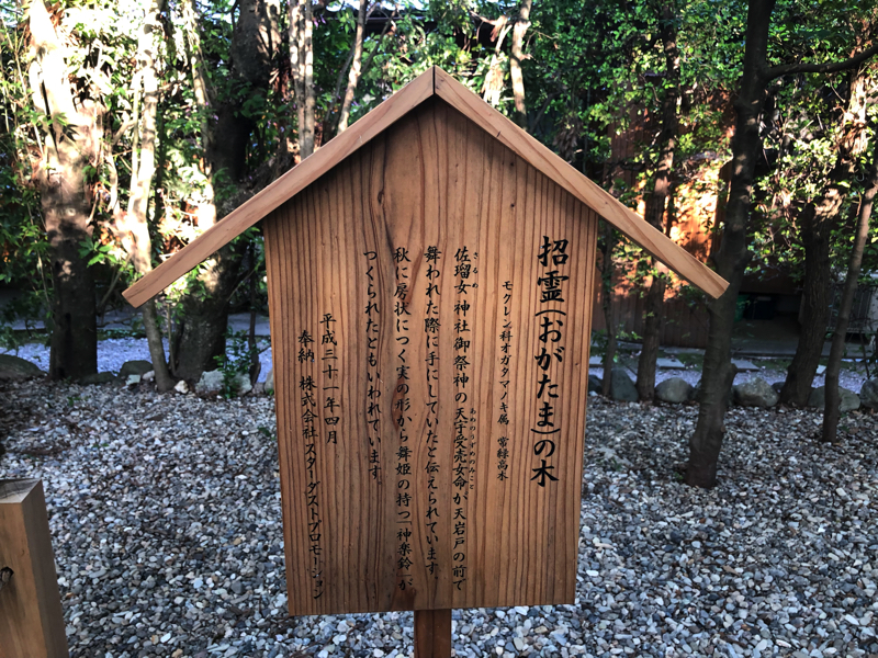 猿田彦神社の招霊の木の案内