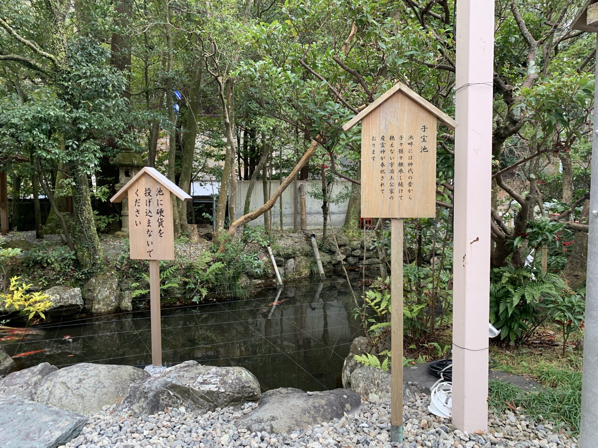 猿田彦神社の子宝池