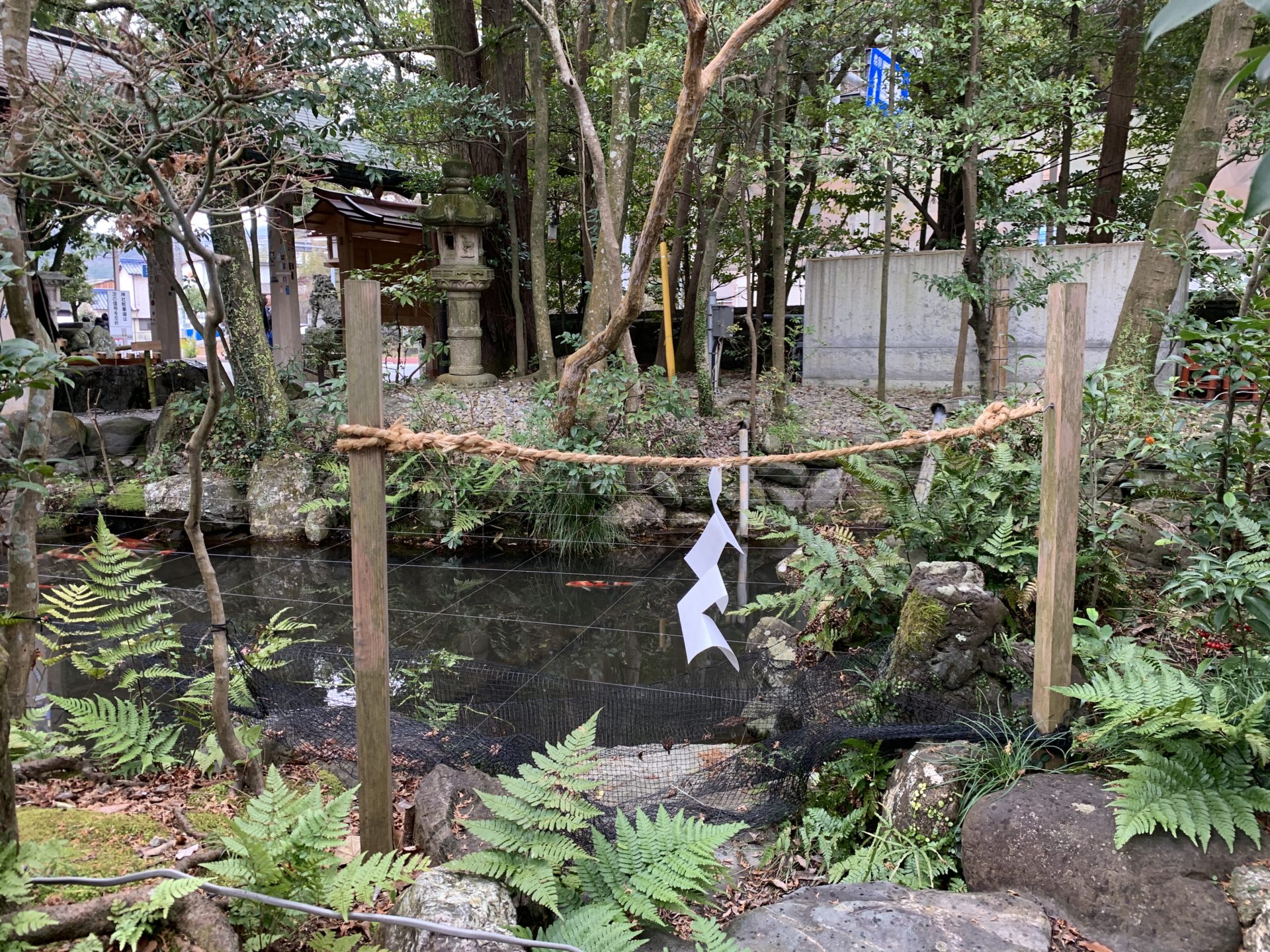 猿田彦神社の子宝池