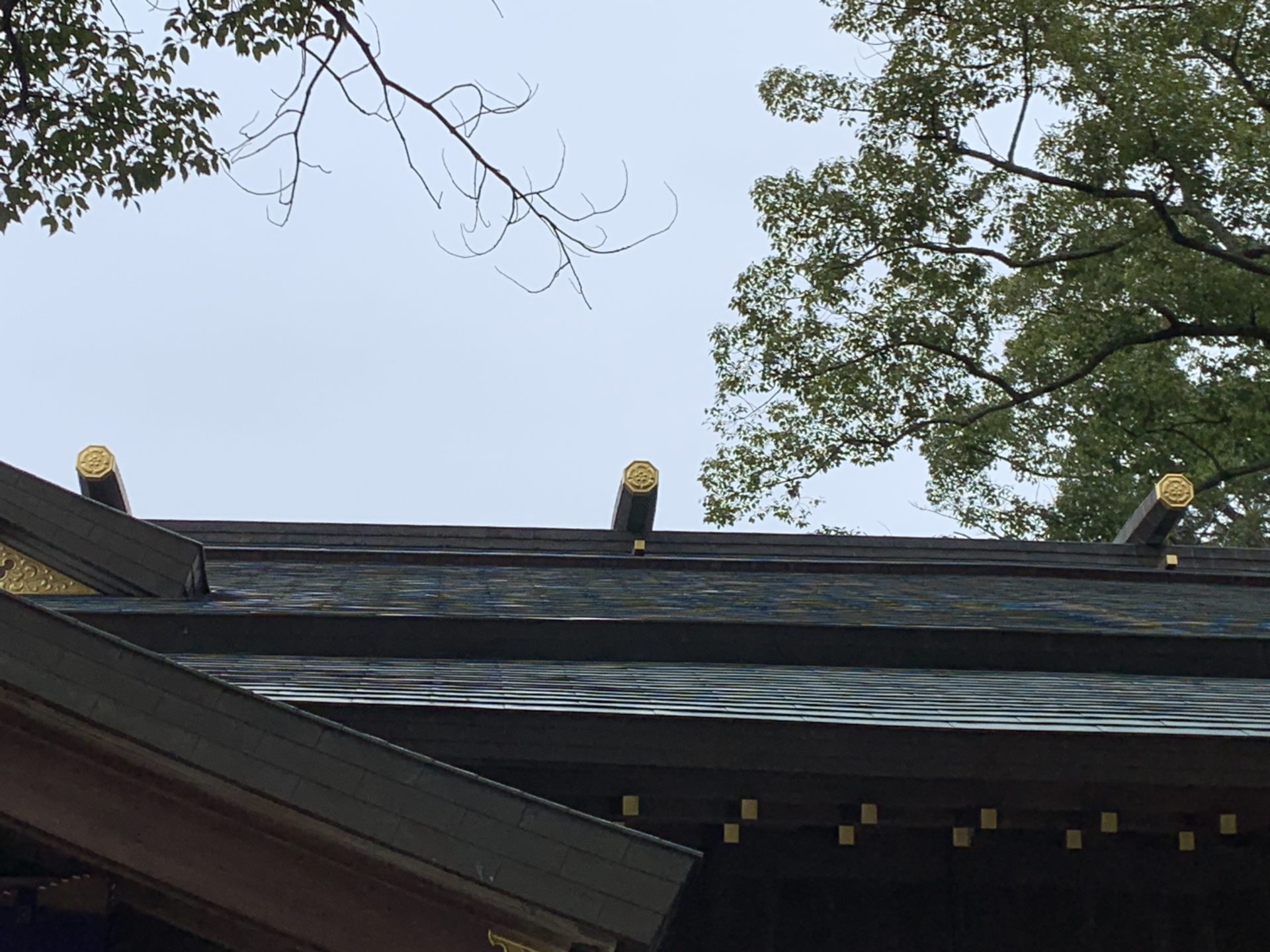 御本殿の屋根の鰹木