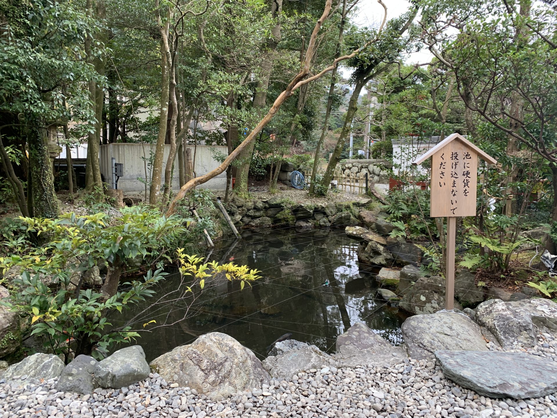 猿田彦神社の子宝池