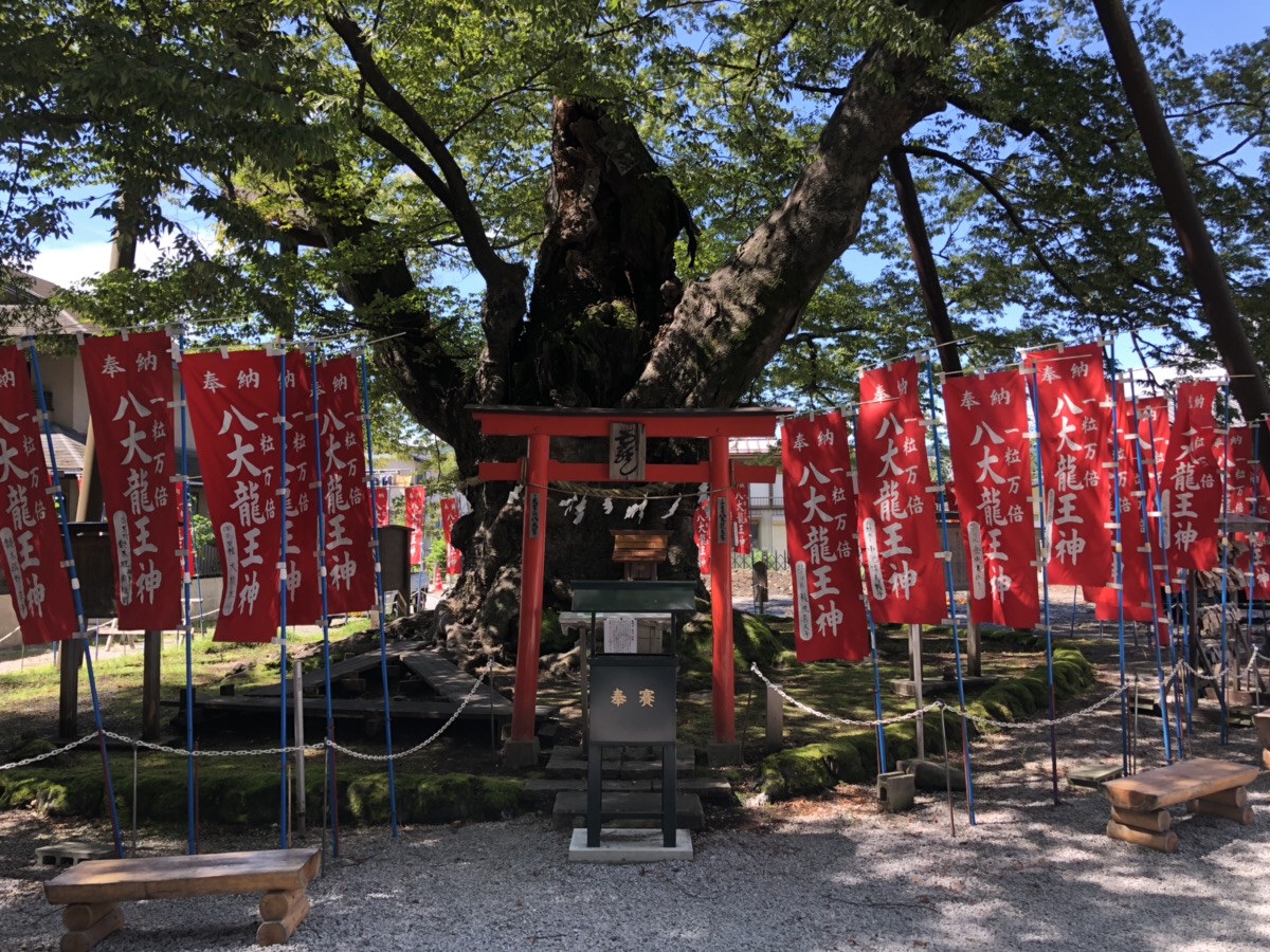 秩父今宮神社（八大龍王宮）のご利益で大願成就！八大龍王の御神徳であらゆる願い事を叶える - 金運大全®