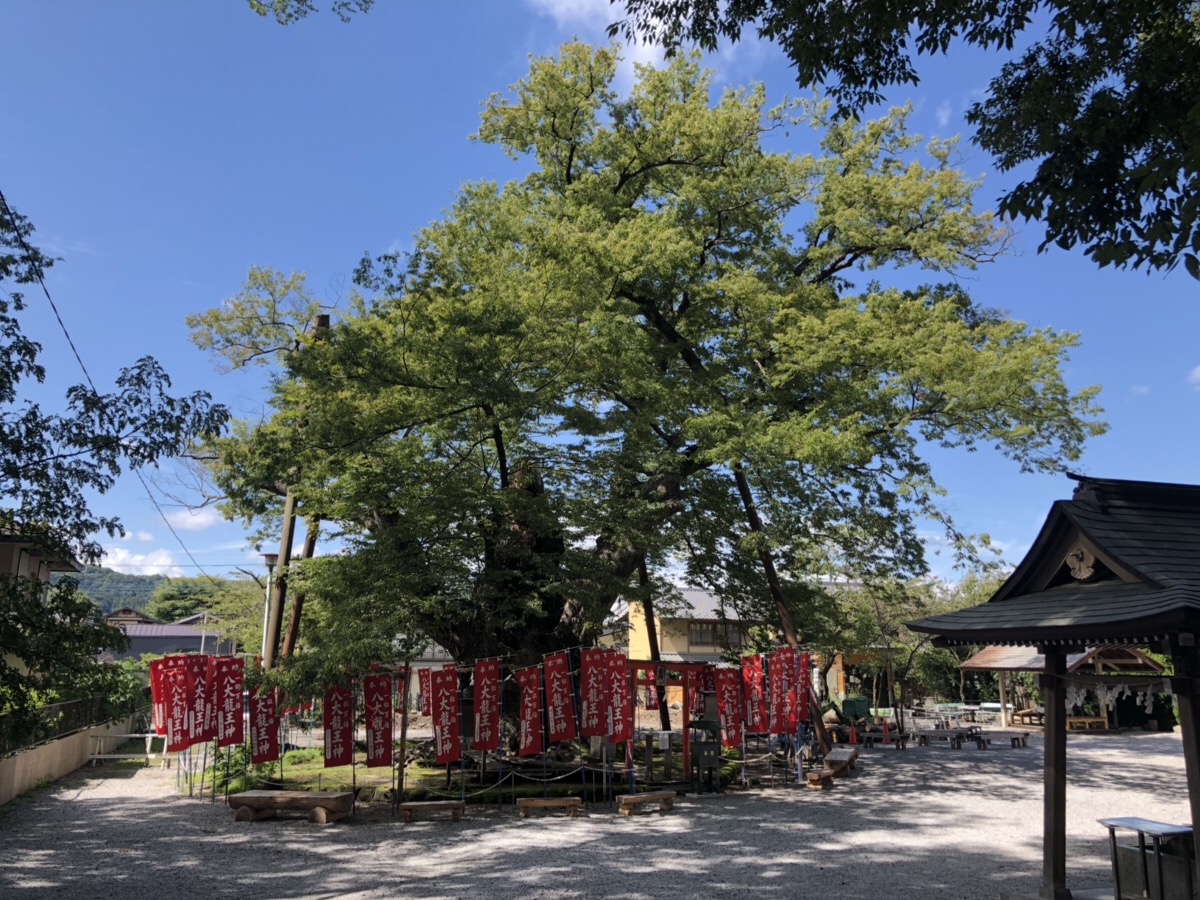 秩父今宮神社（八大龍王宮）のご利益で大願成就！八大龍王の御神徳であらゆる願い事を叶える - 金運大全®