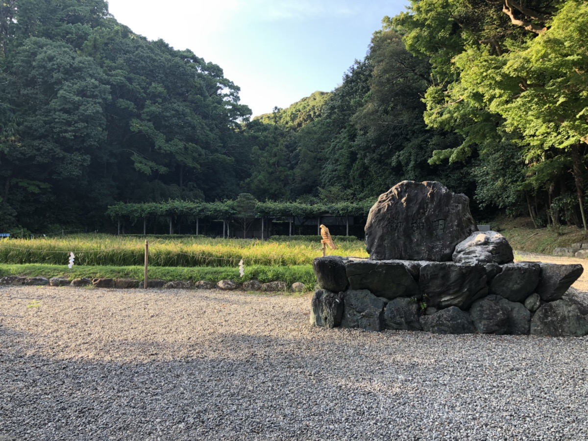 猿田彦神社の御神田