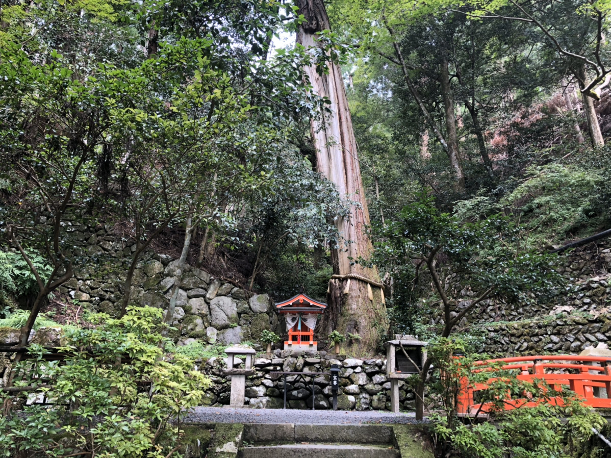 双福苑の玉杉大黒天