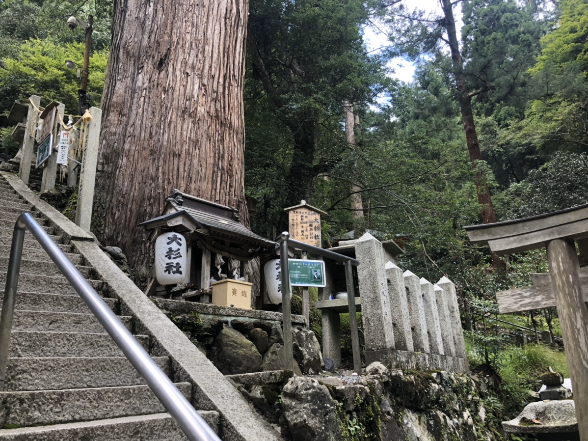 大杉社
