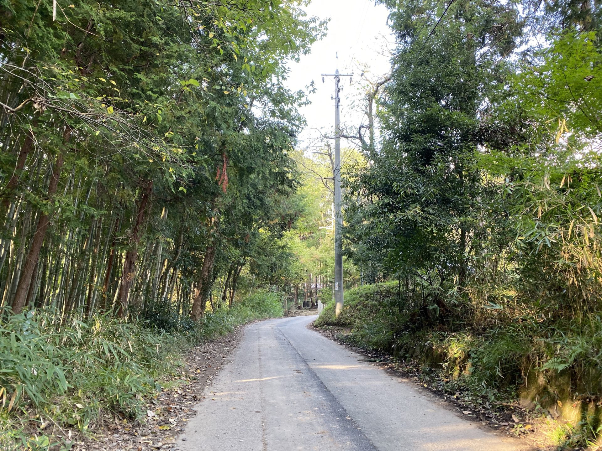 奥宮真名井神社への道