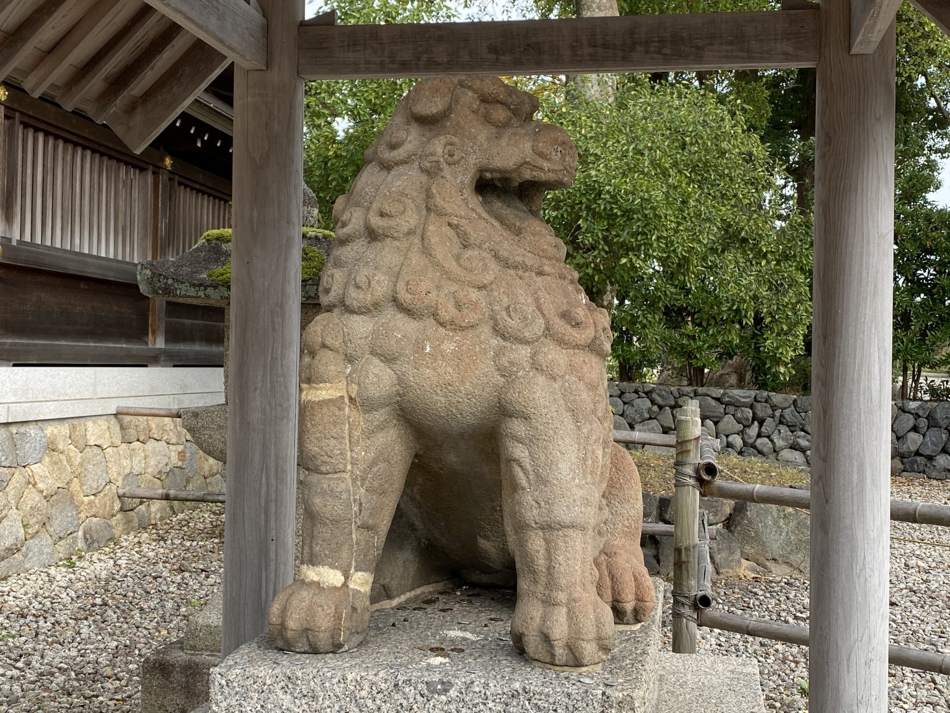 籠神社の狛犬 阿像