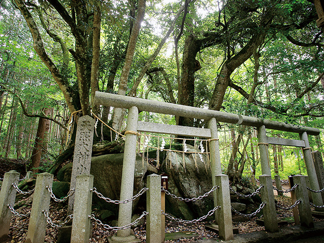 真名井神社 磐座西座