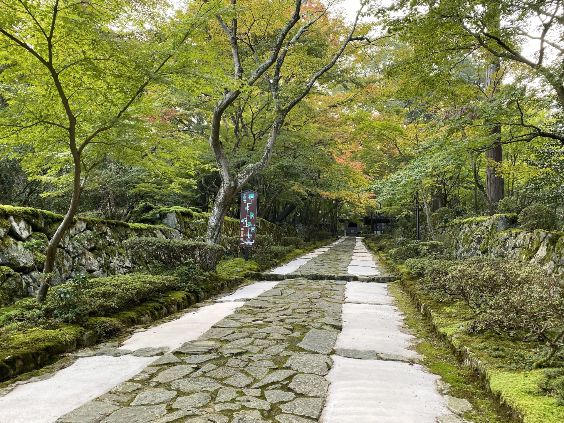 金剛輪寺の参道