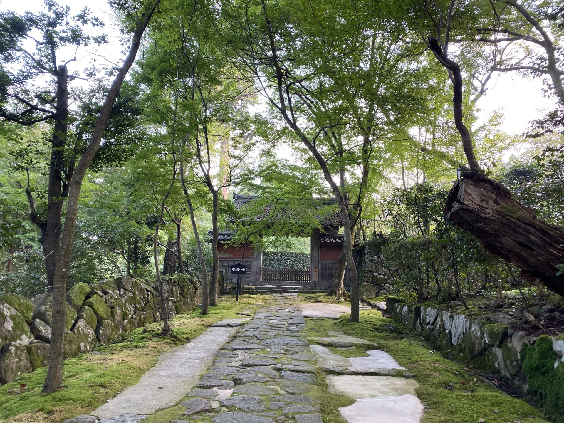 金剛輪寺 赤門