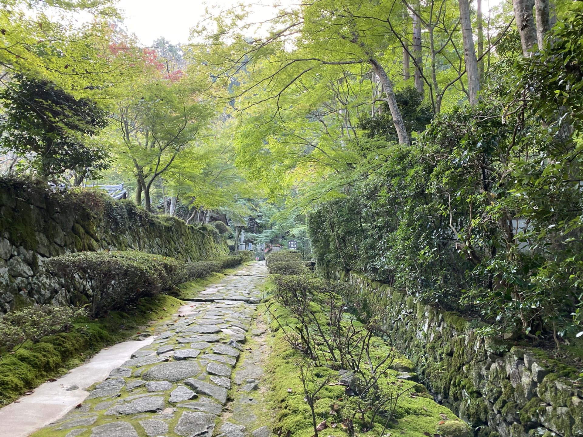 金剛輪寺 参道