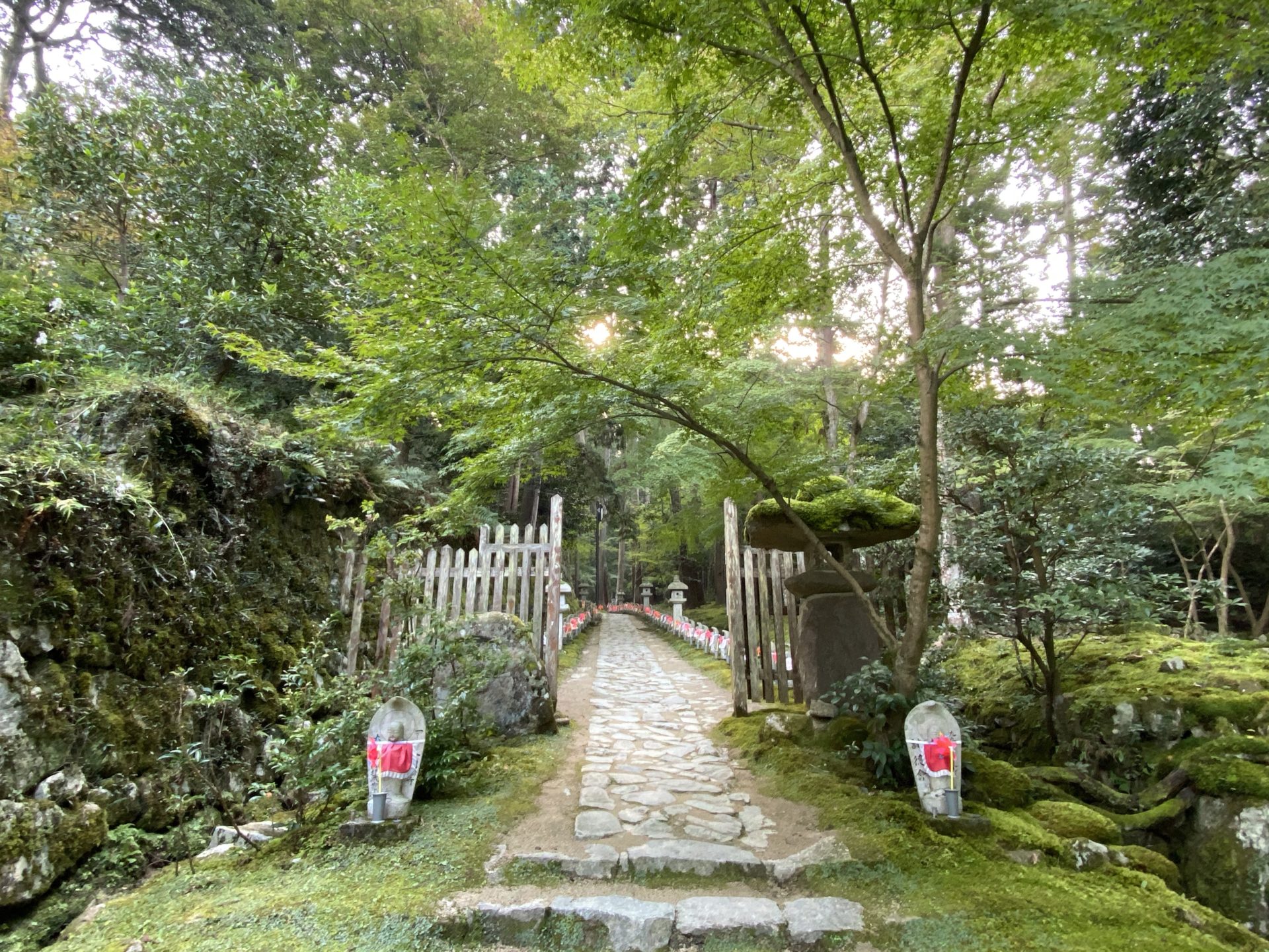 金剛輪寺 参道