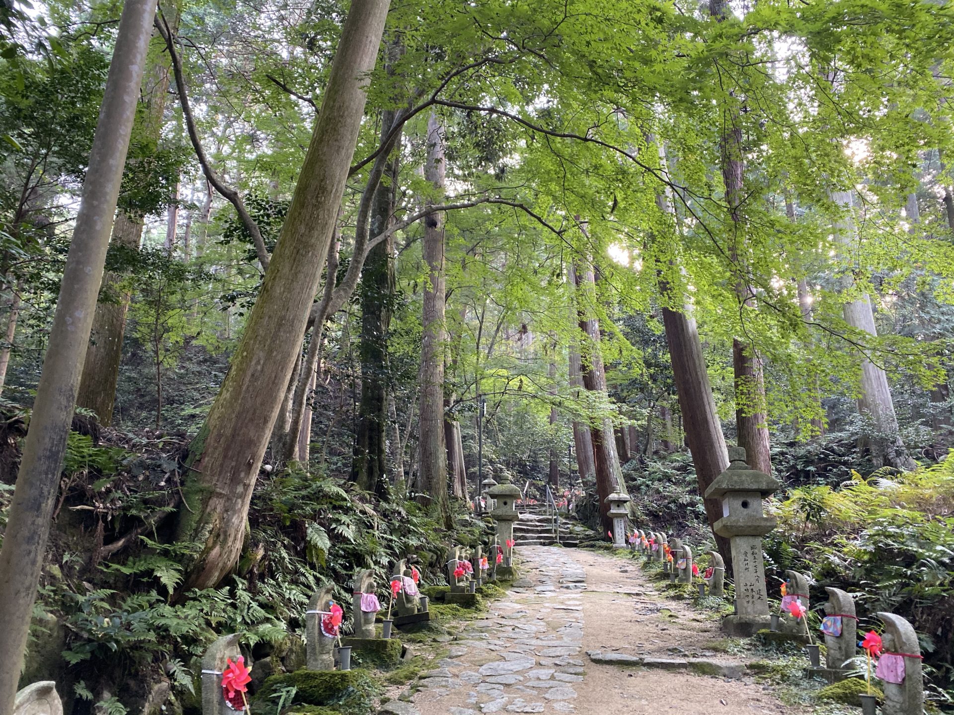 金剛輪寺 参道
