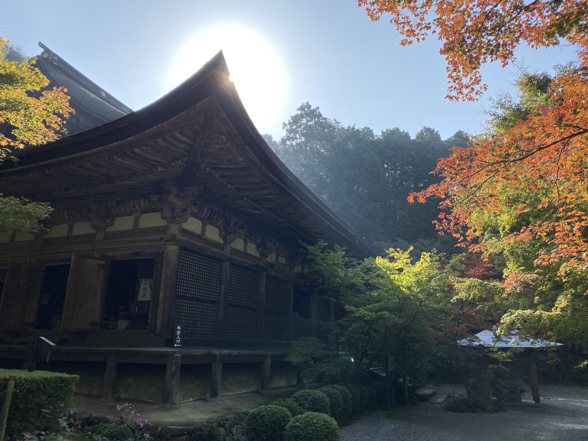 国宝 大悲閣本堂