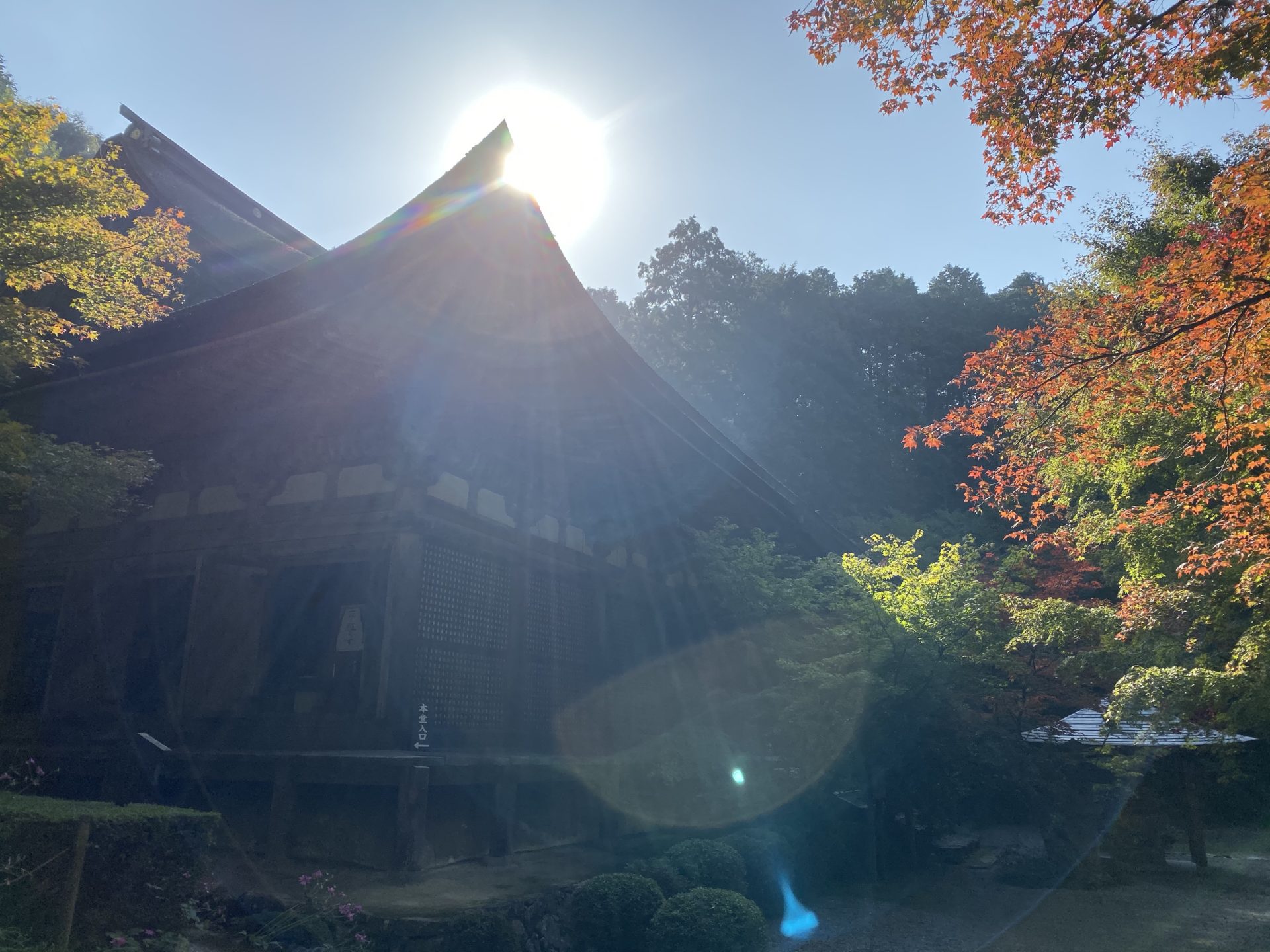 金剛輪寺 本堂