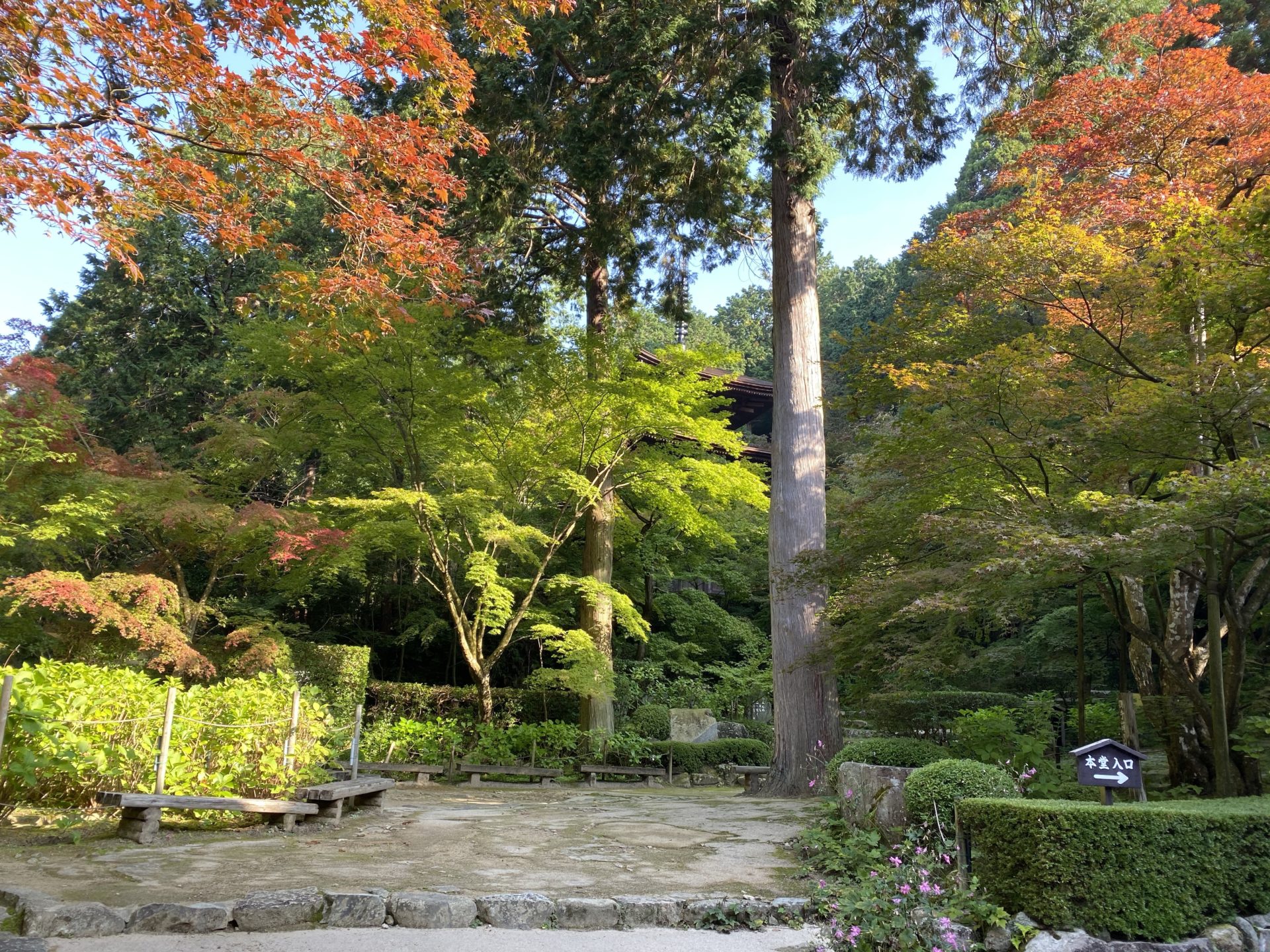 金剛輪寺 境内