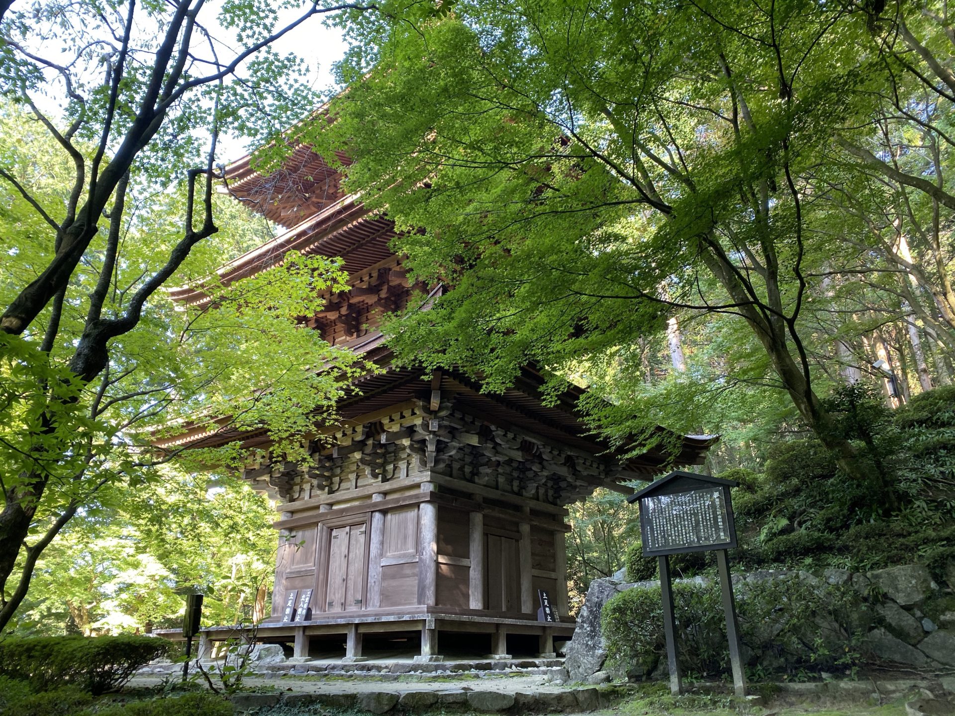 金剛輪寺 三重塔