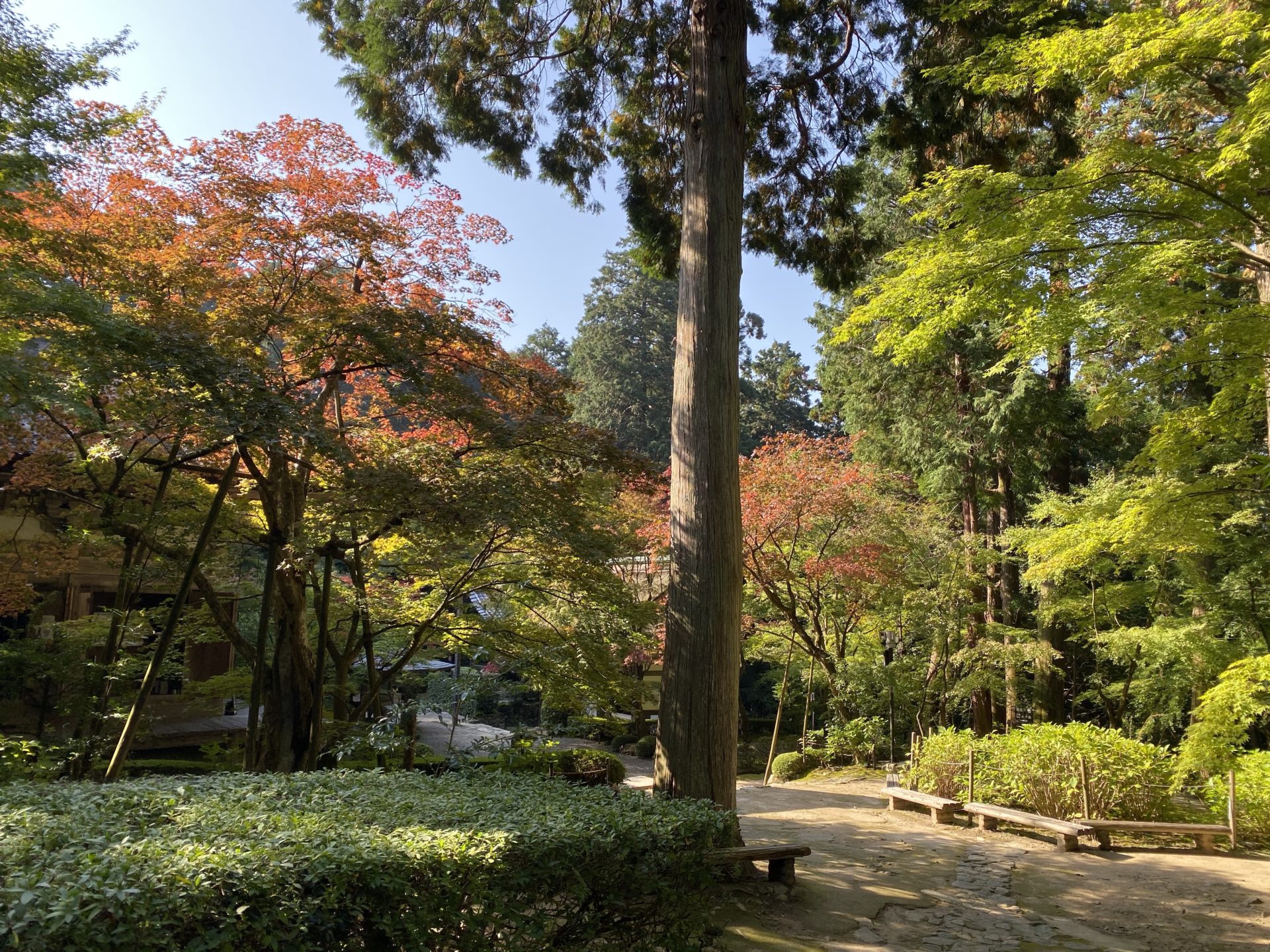 金剛輪寺 境内