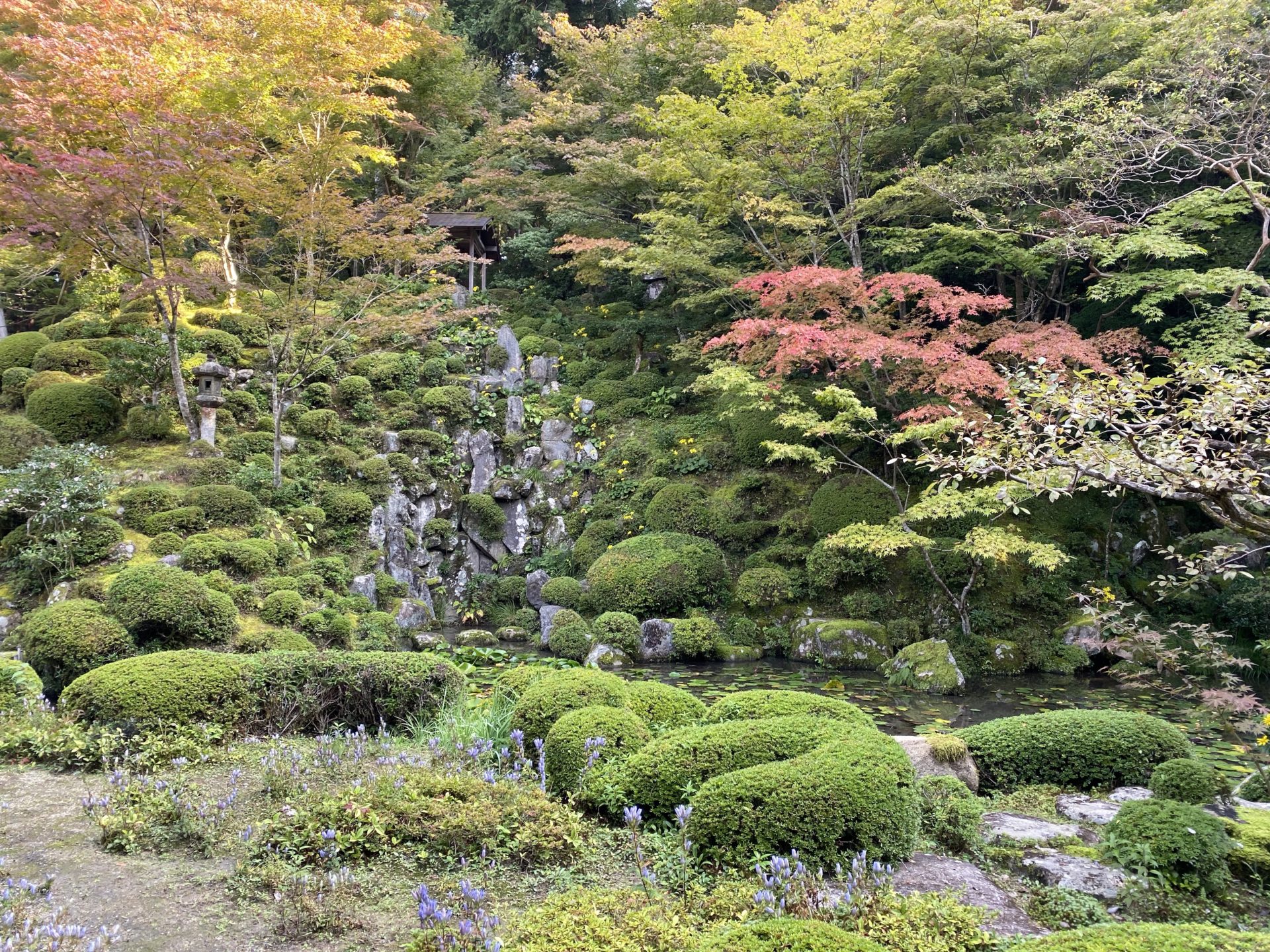 金剛輪寺 名勝庭園