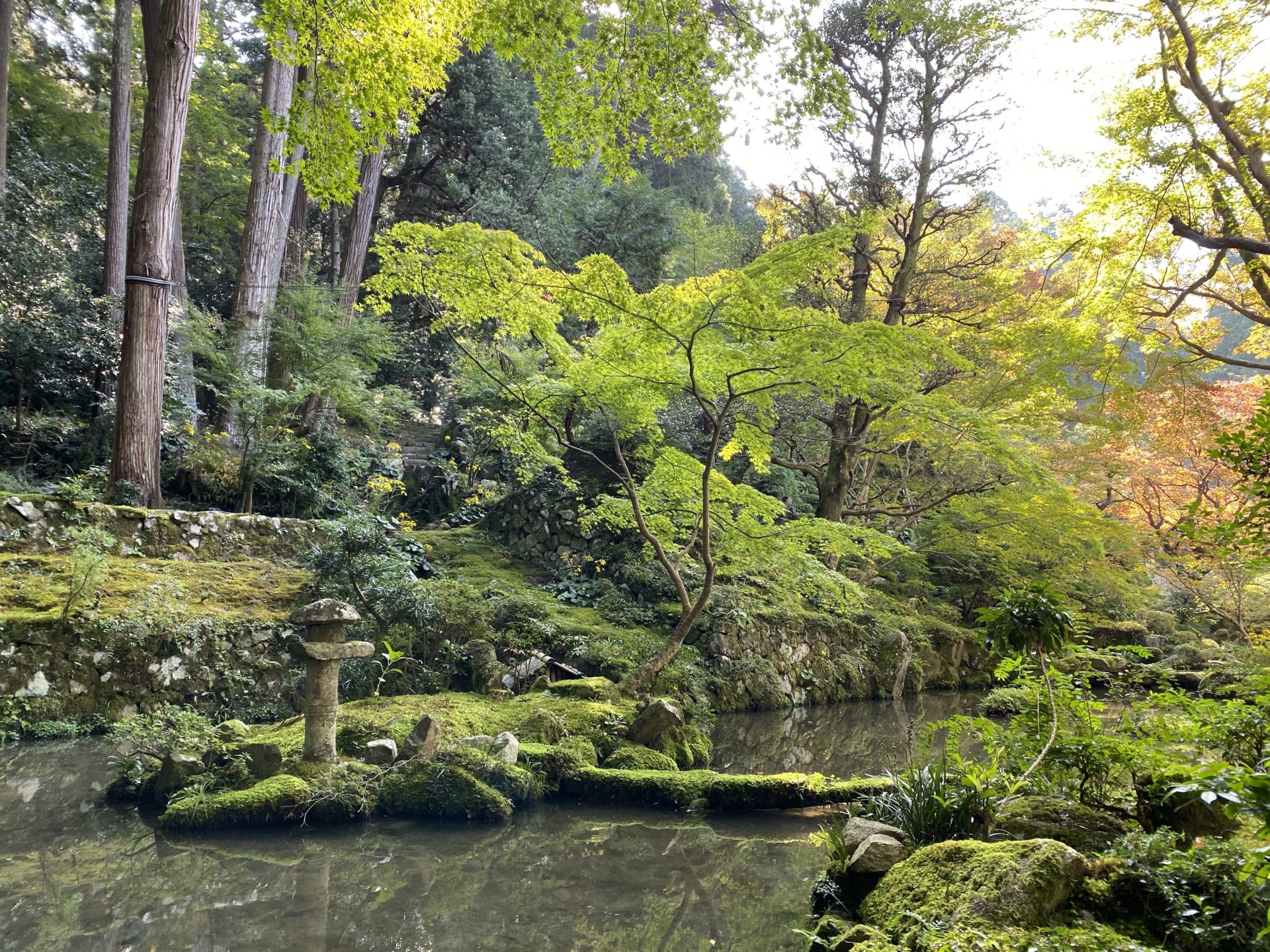金剛輪寺 名勝庭園
