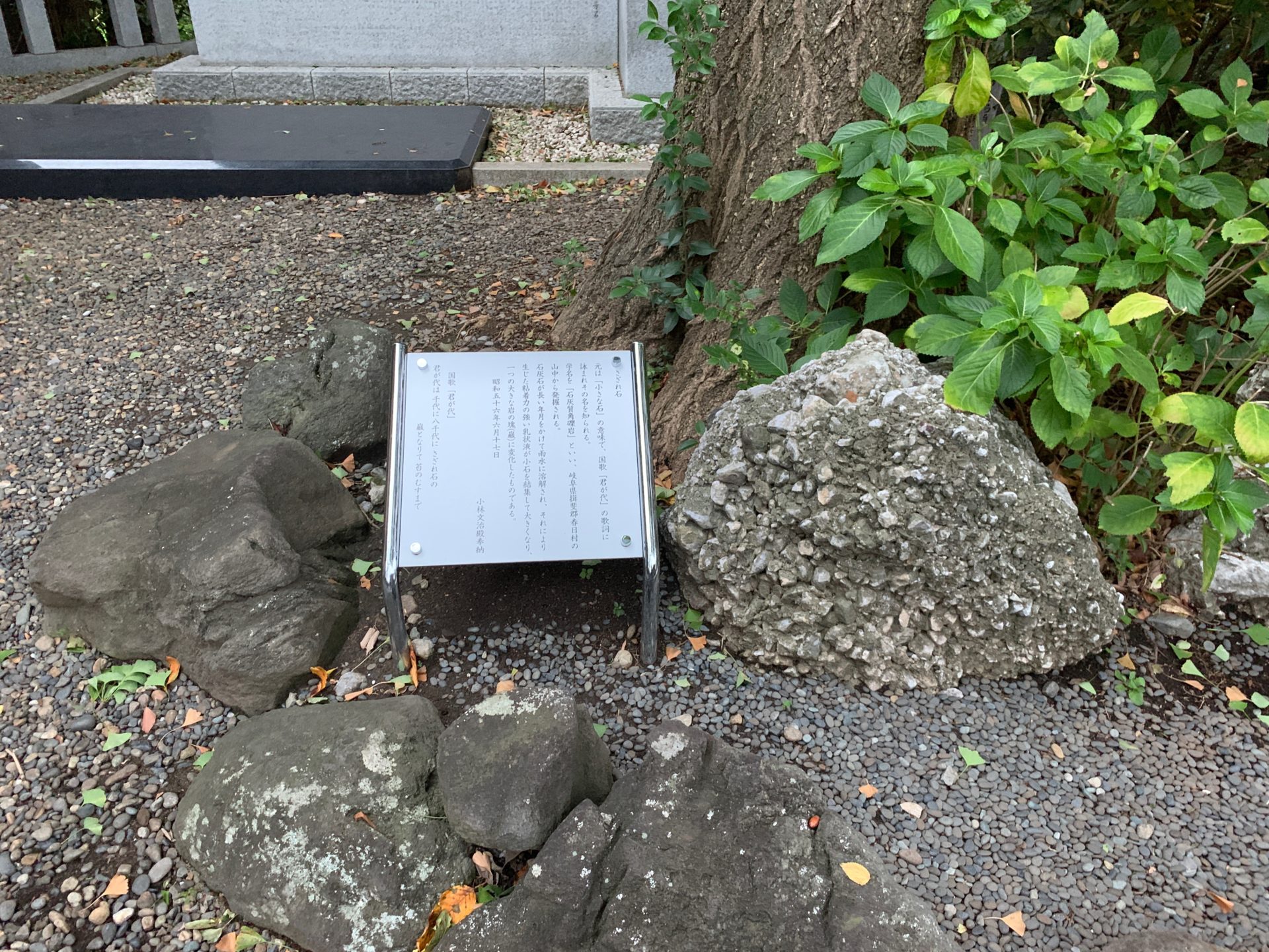 日枝神社のさざれ石