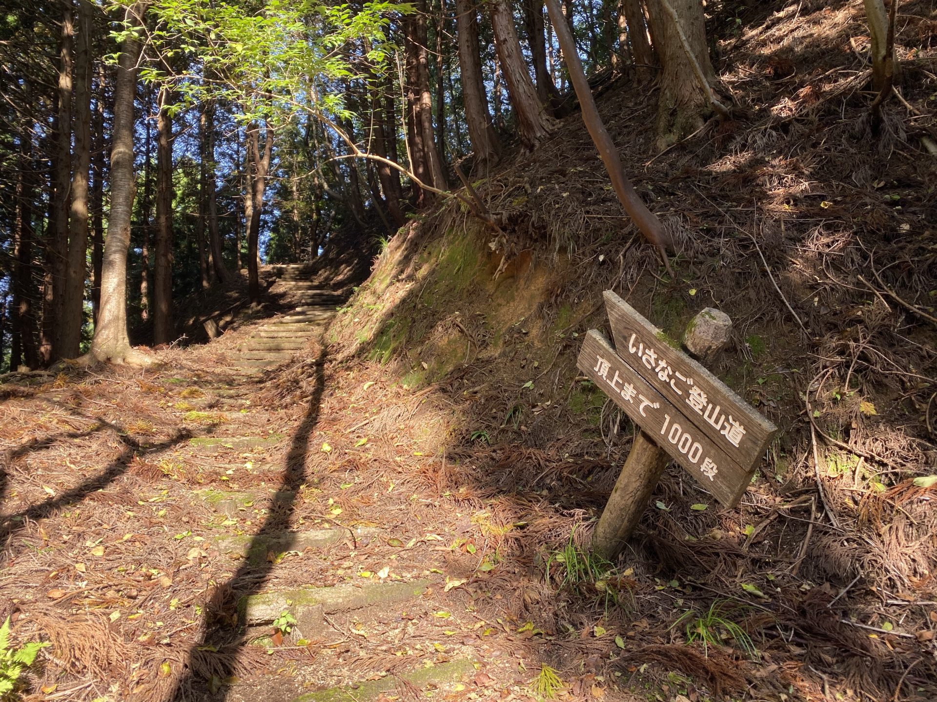 磯砂山の道