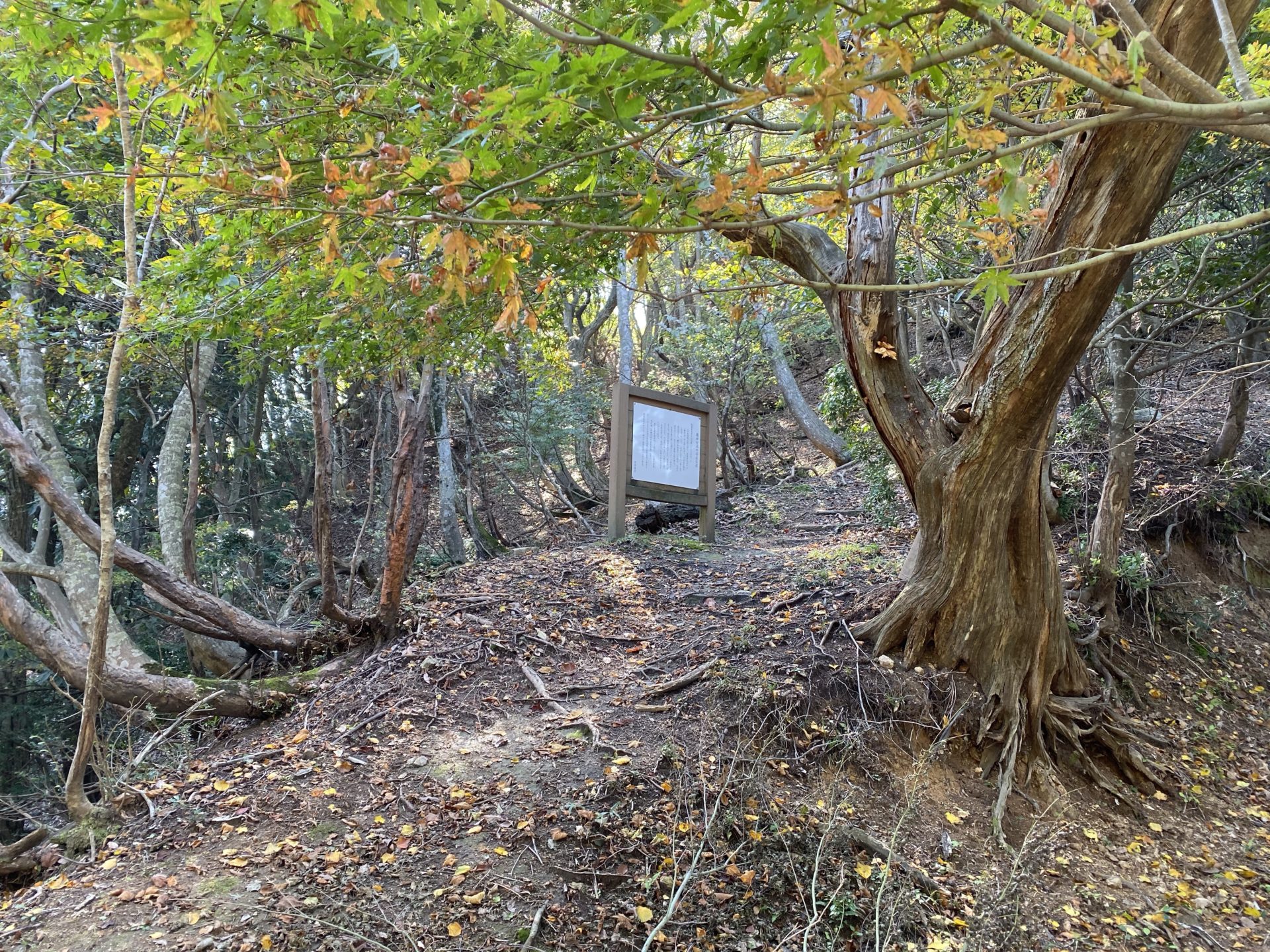 磯砂山 女池への道