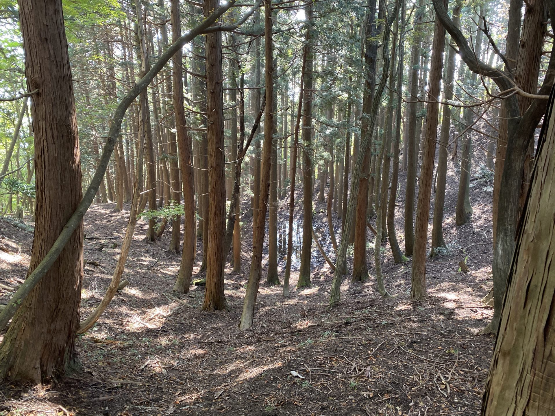 磯砂山 女池
