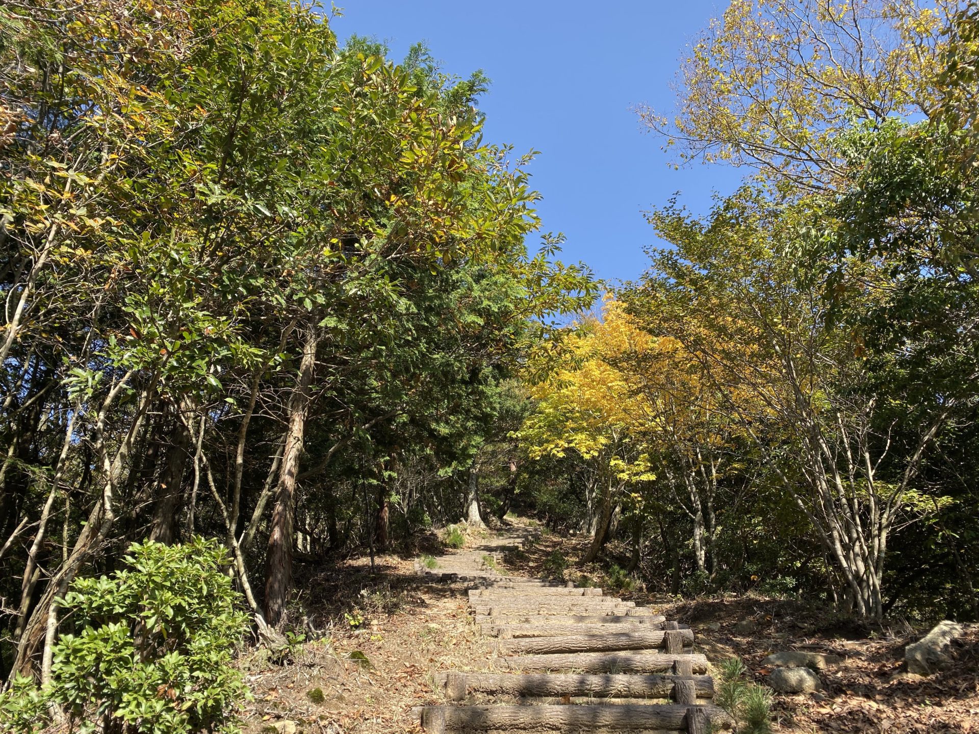 磯砂山 山頂への道