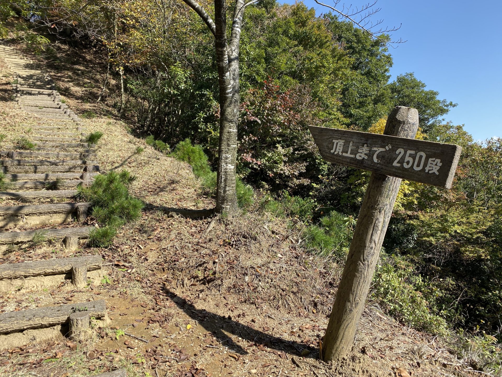 磯砂山 山頂への道