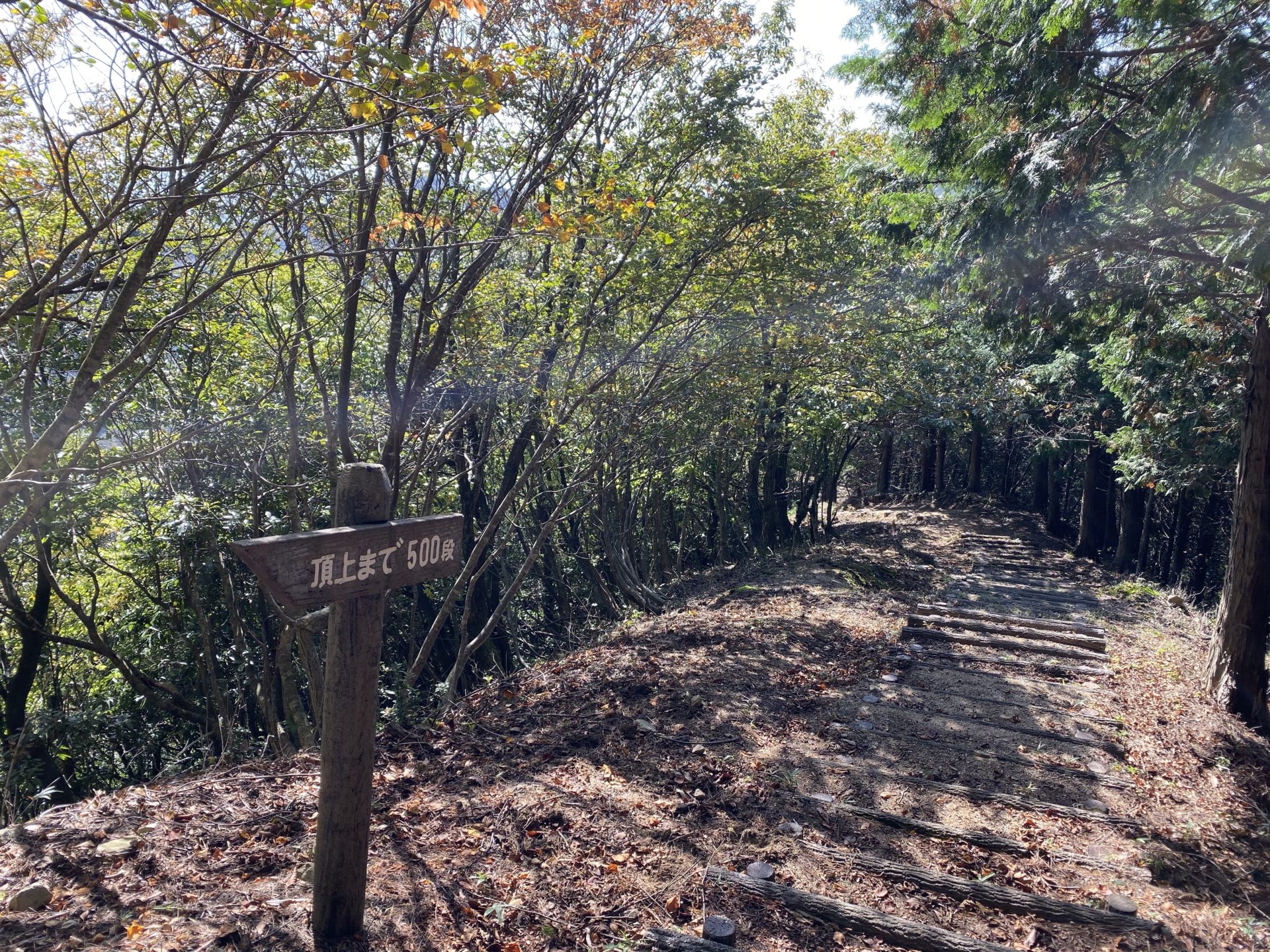 磯砂山 山頂への道