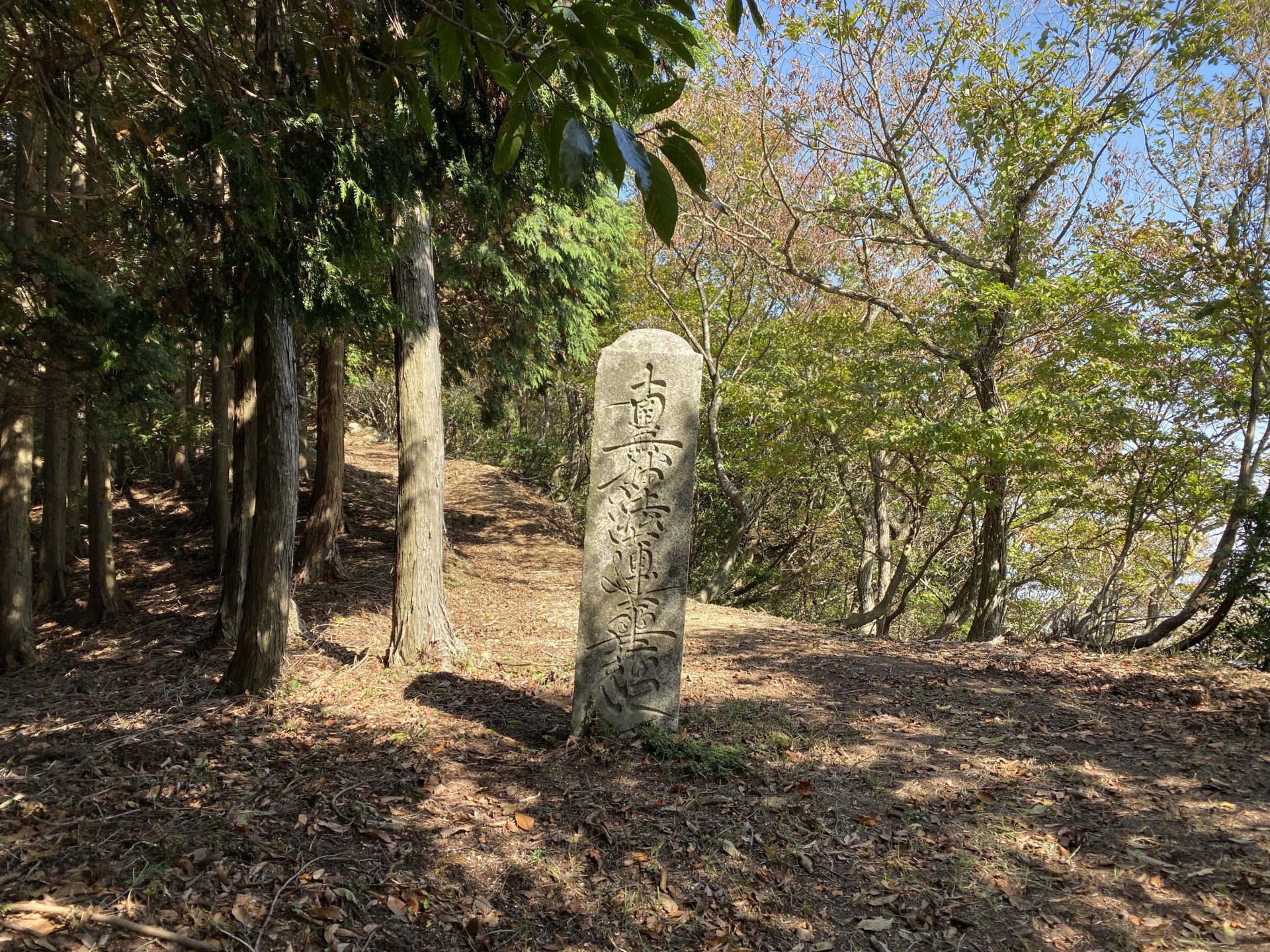 磯砂山 山頂への道