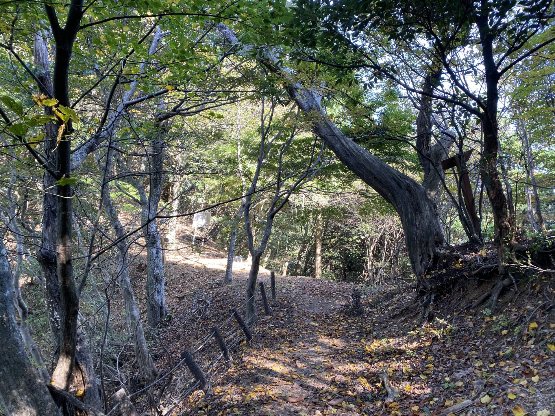 磯砂山の分かれ道
