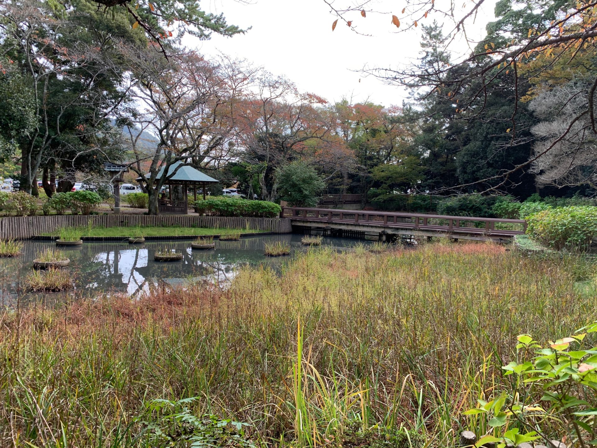 浄の池