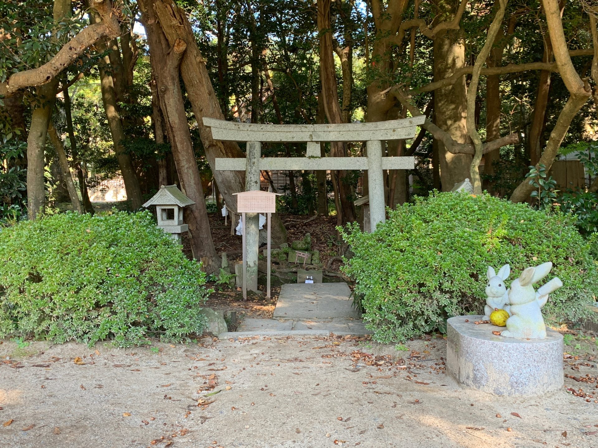 杵那築の森にある聖地