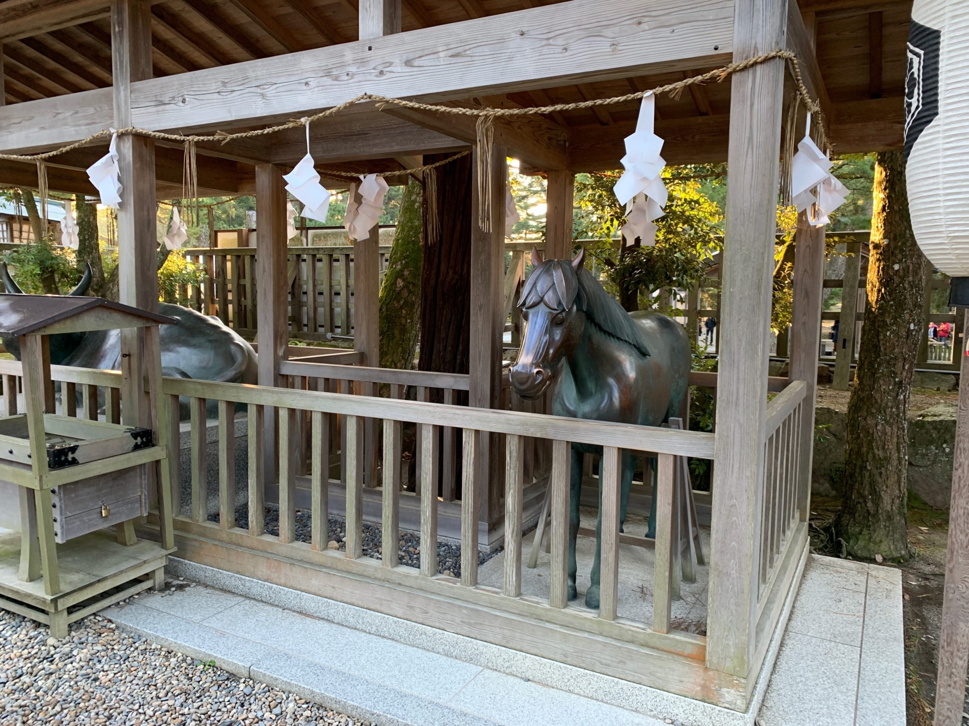 出雲大社の神馬