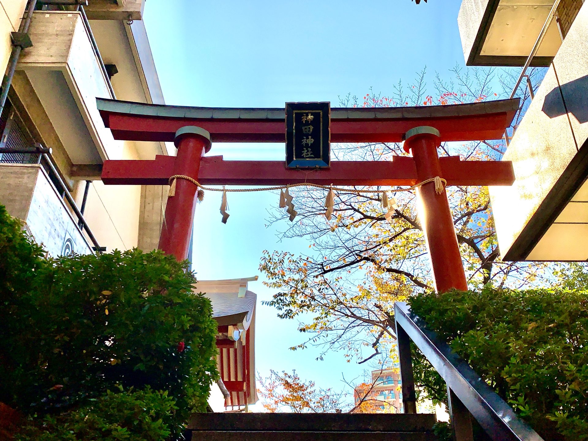神田明神 裏参道の鳥居