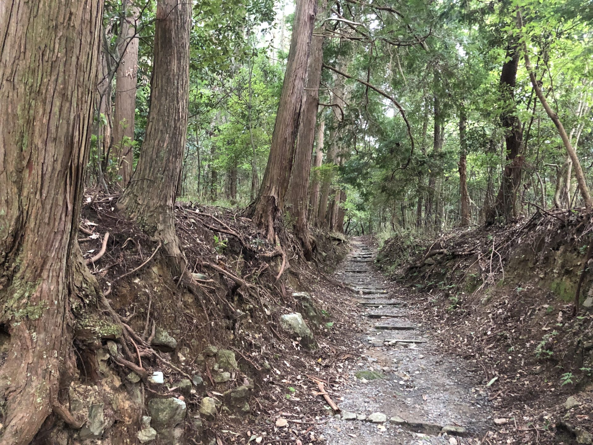御蔭神社への道