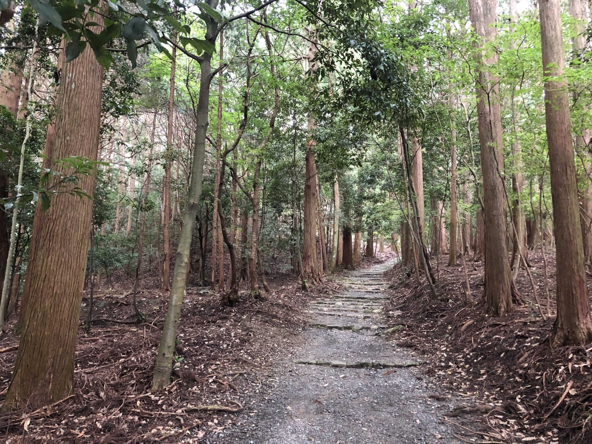 御蔭神社の参道