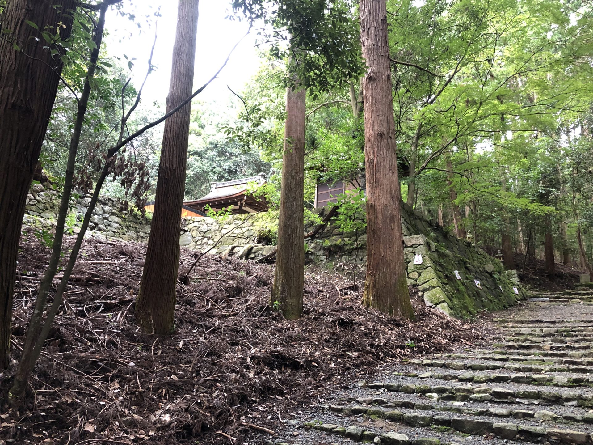 御蔭神社の拝殿