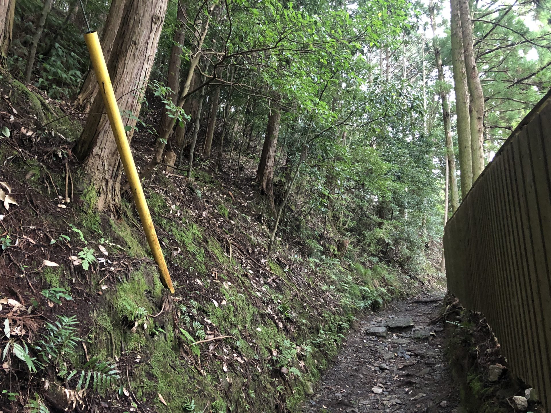 御蔭神社への道