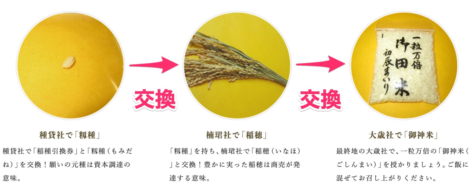 初辰「みのりまいり」