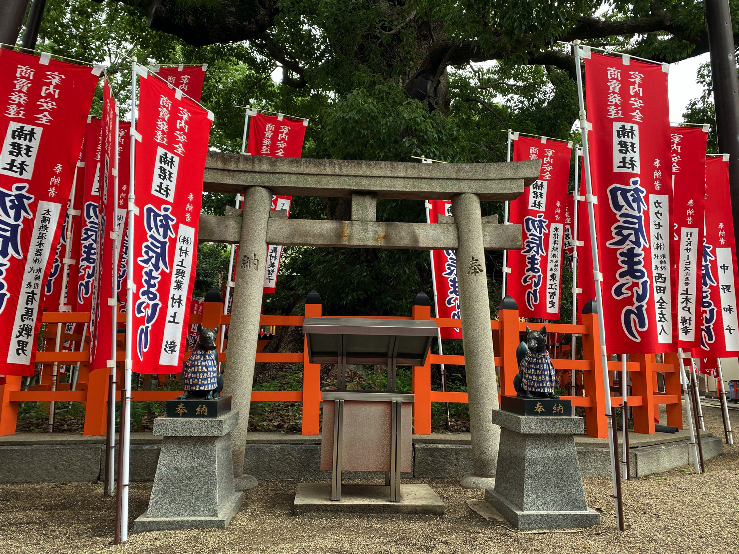 楠珺社の御神木