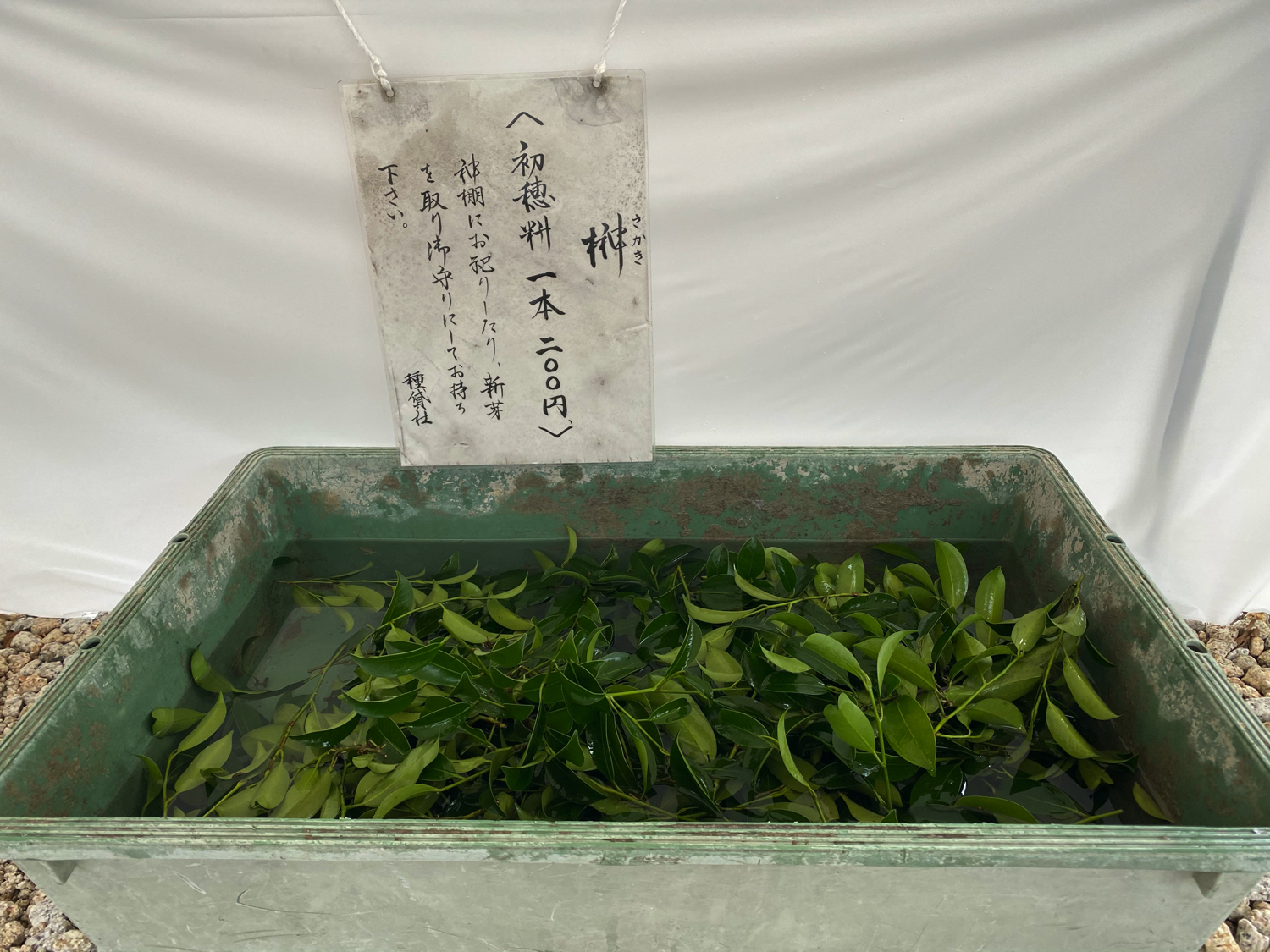 種貸社 榊