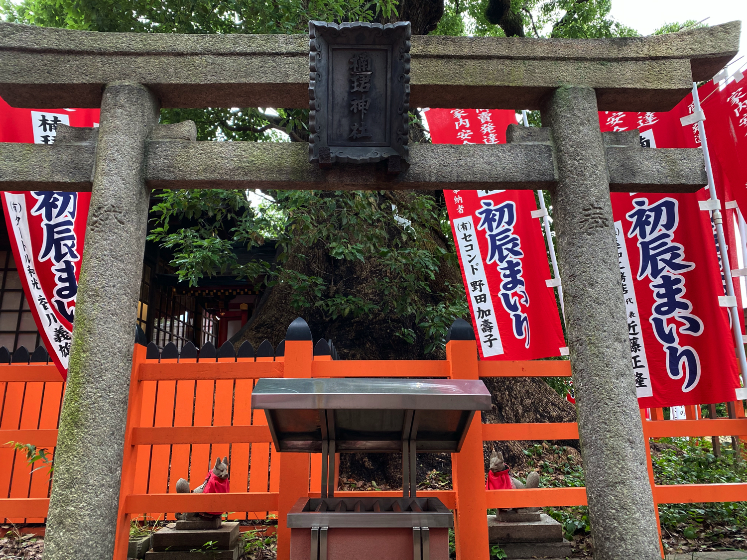 楠珺社の御神木(西側の鳥居)