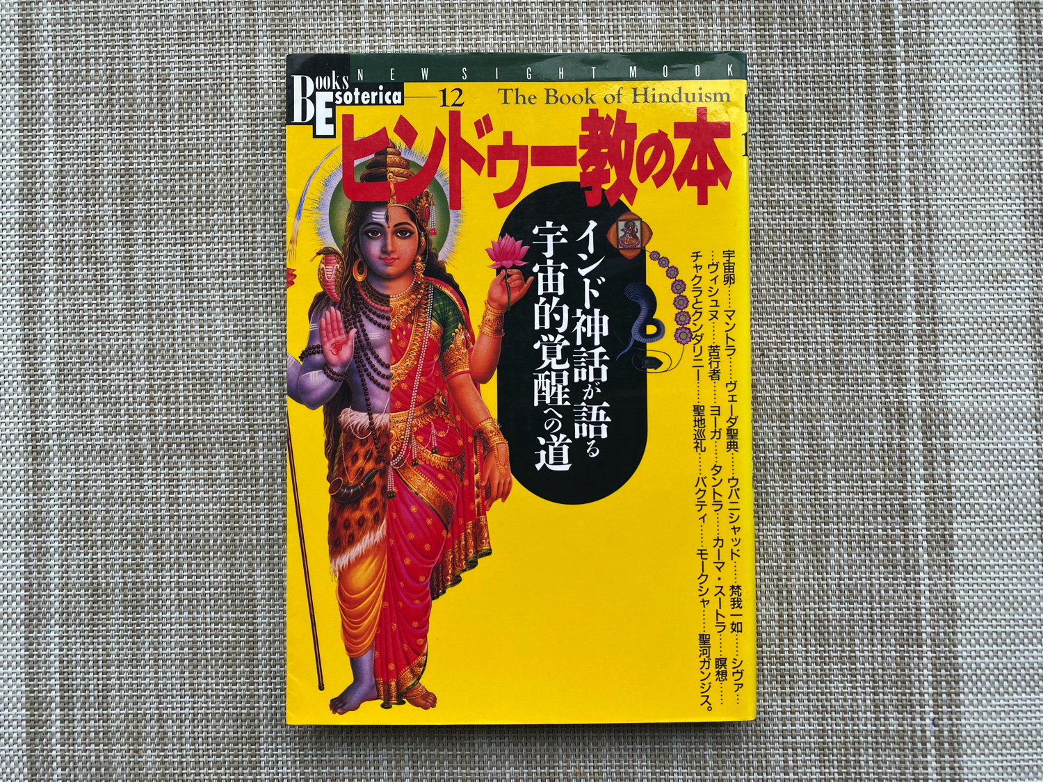 ヒンドゥー教の本