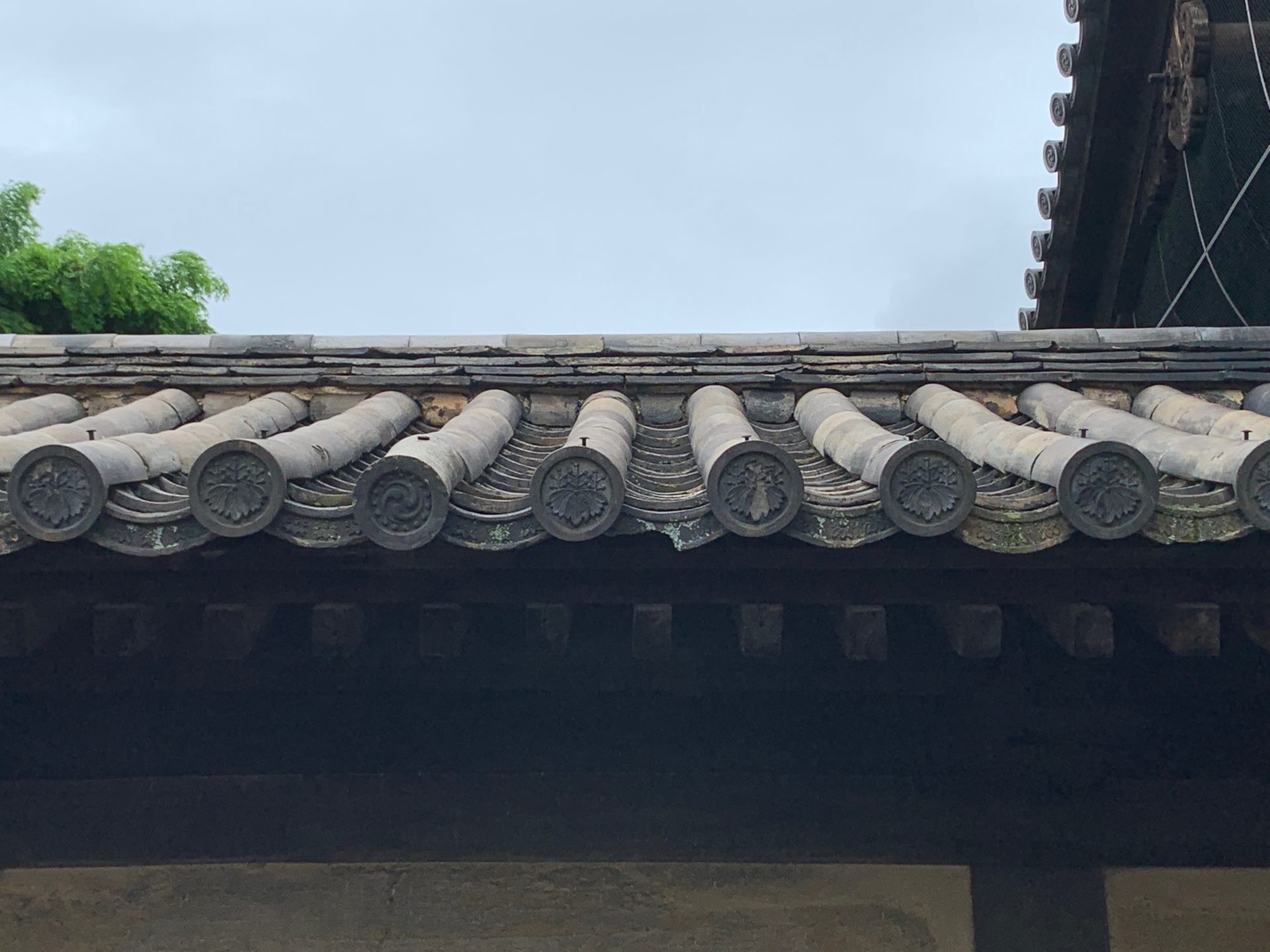 太閤塀の軒丸瓦の桐紋