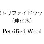 ペトリファイドウッド（珪化木）
